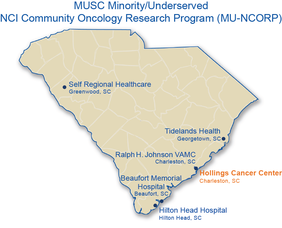ncorp hollings cancer center musc charleston sc musc my chart charleston sc