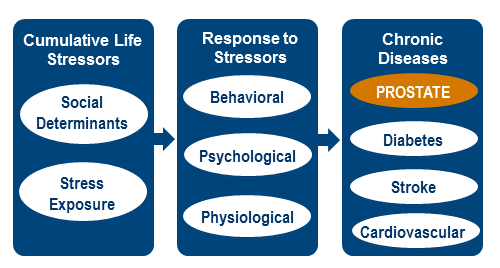 TCC Research Model
