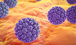 rendering of human papillomavirus